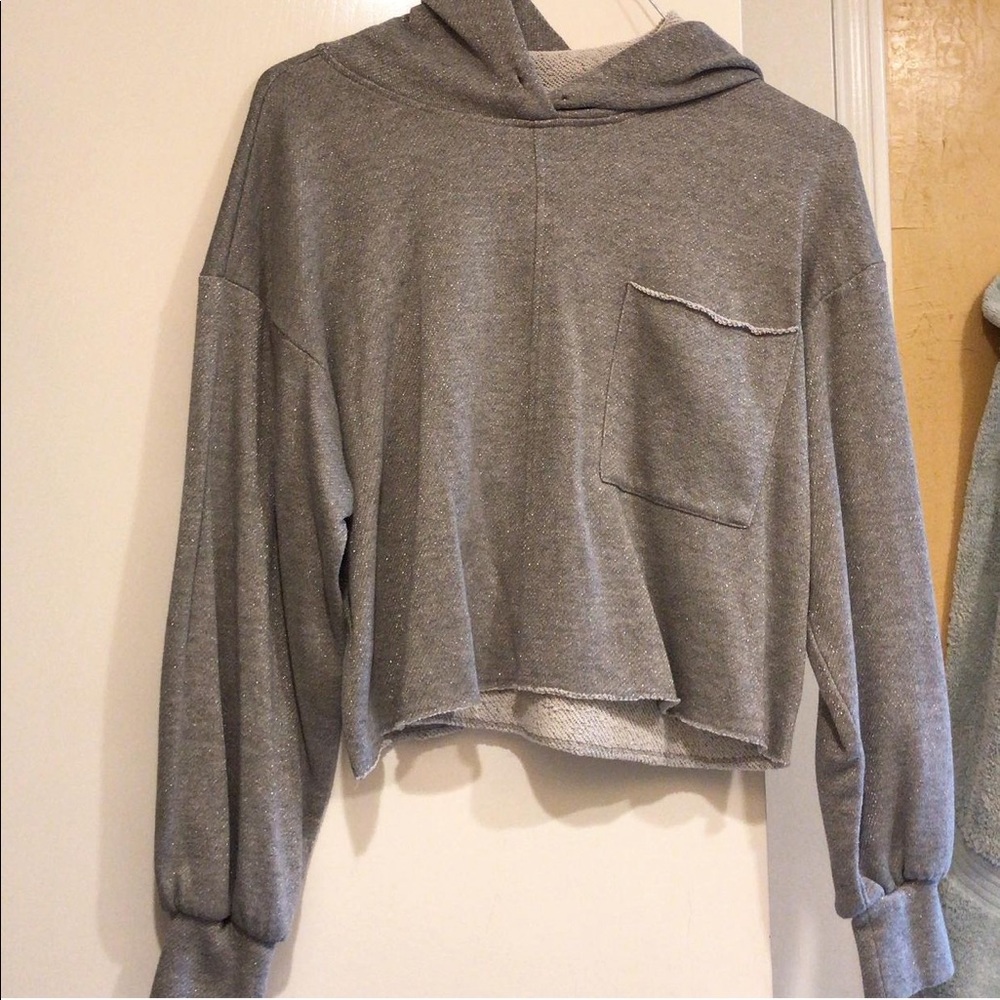 Cute gray (kinda sparkly) cropped hoodie